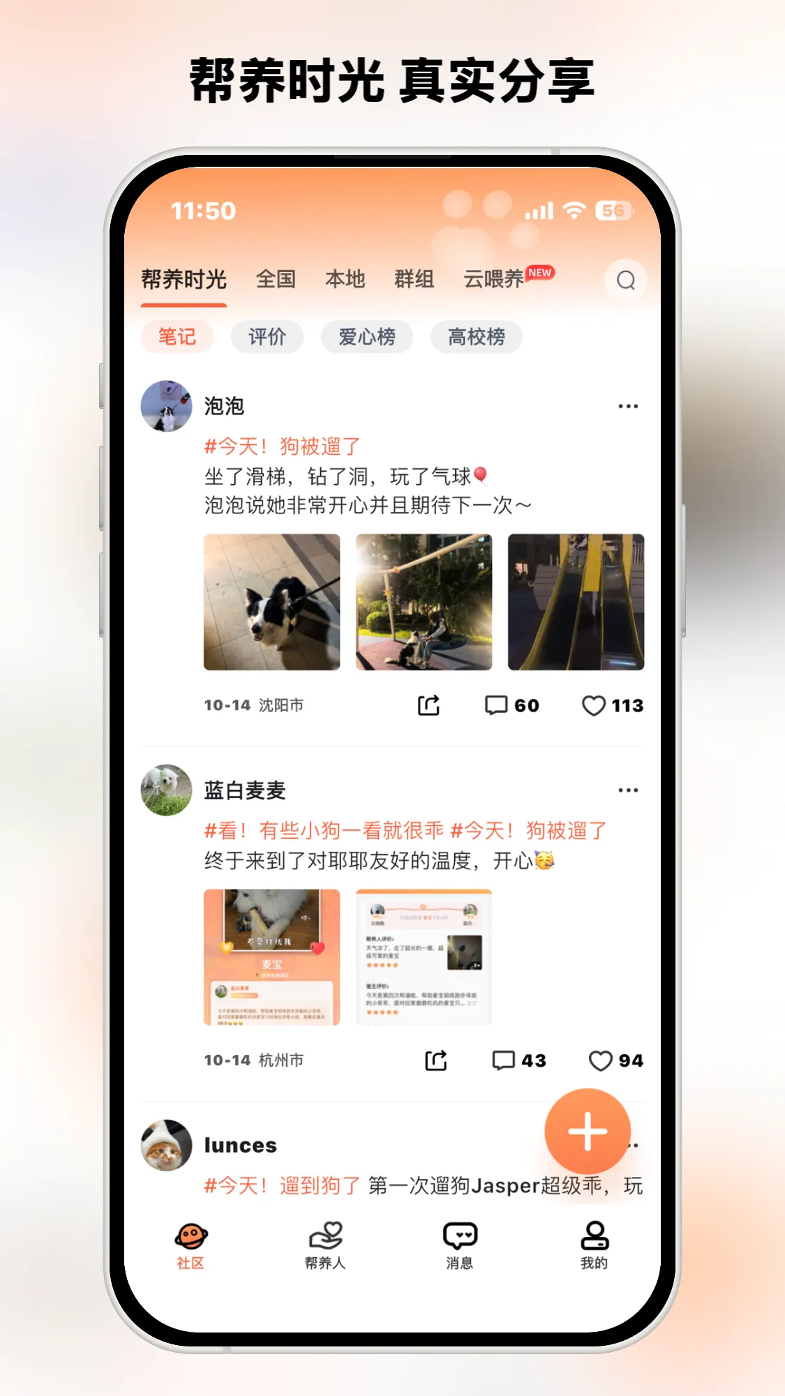 爱犬APP功能展示